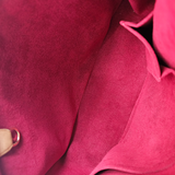 MONOGRAM CANVAS VIVA CITE GM