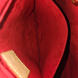 MONOGRAM CANVAS VIVA CITE GM