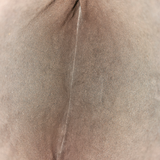 Monogram Canvas Pochette metis