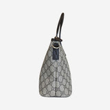 GG crossbody/Tote