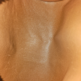 MONOGRAM CANVAS Papillon 26