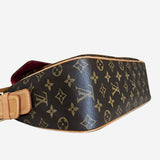 MONOGRAM CANVAS VIVA CITE GM