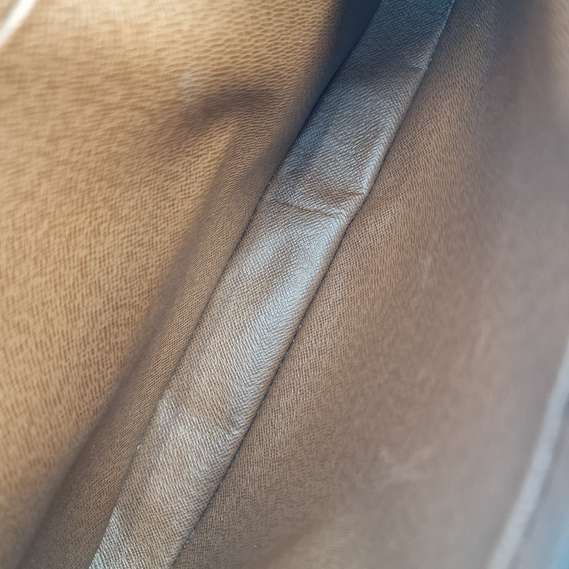 MONOGRAM CANVAS NILE MM