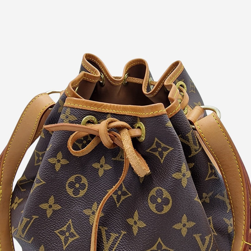 MONOGRAM CANVAS PETIT NOÉ