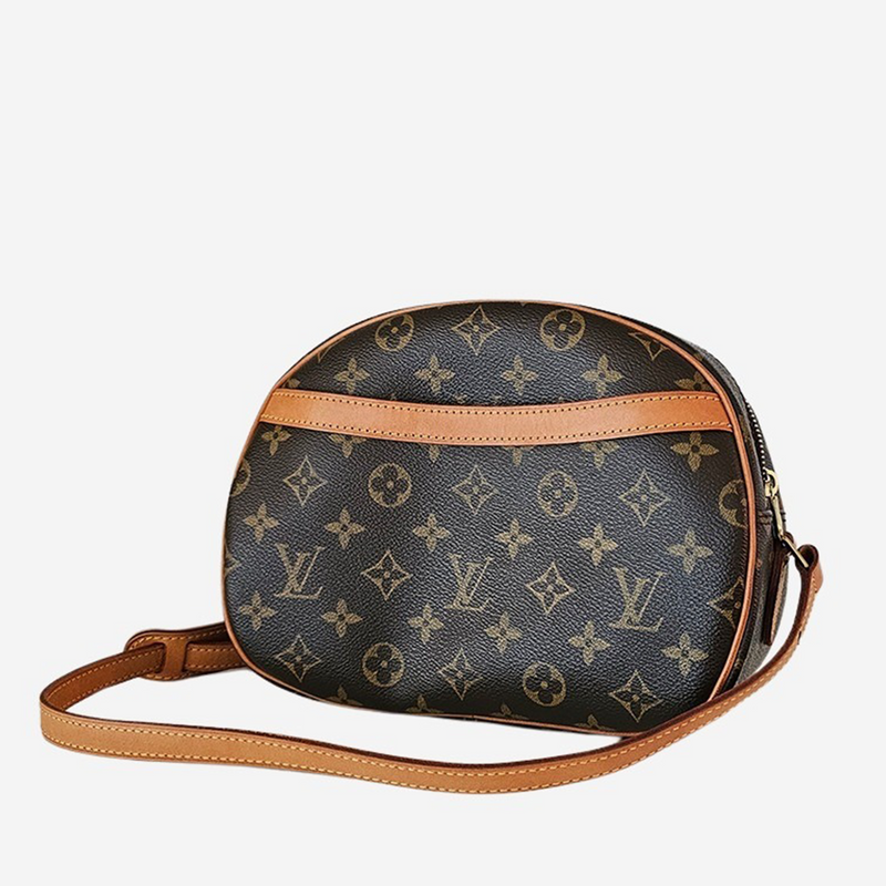 MONOGRAM CANVAS BLOIS