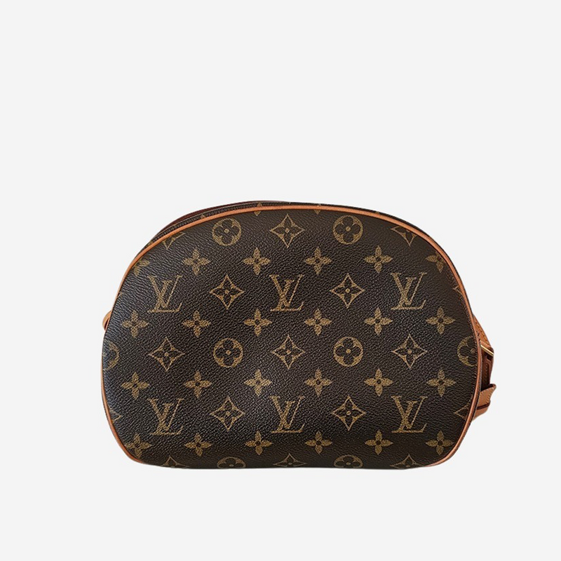 MONOGRAM CANVAS BLOIS