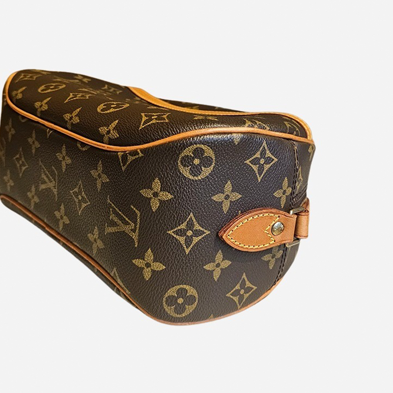 MONOGRAM CANVAS BLOIS