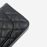 CAVIAR SMALL CLASSIC DOUBLE FLAP