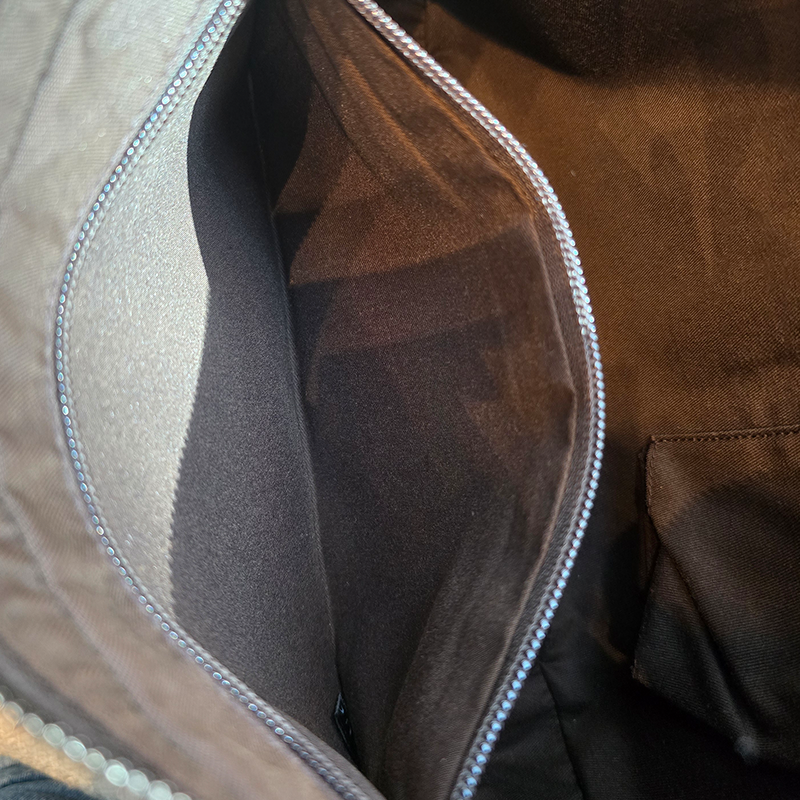 GG Hobo crossbody