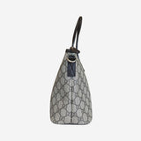 GG crossbody/Tote