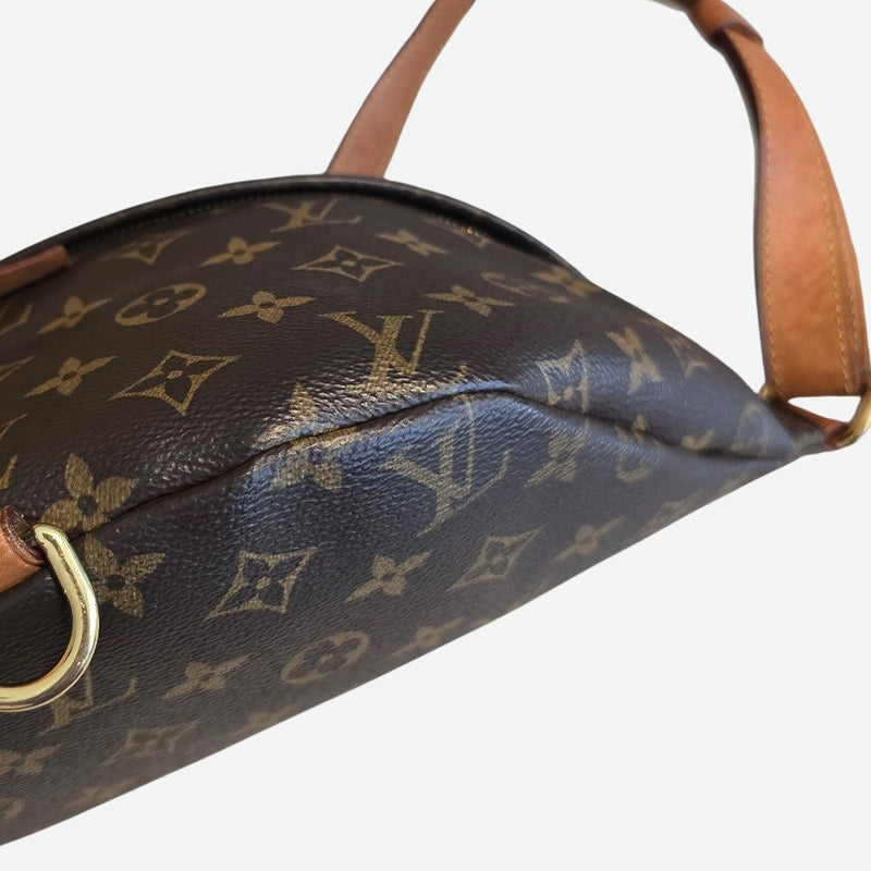 Monogram Canvas Bumbag
