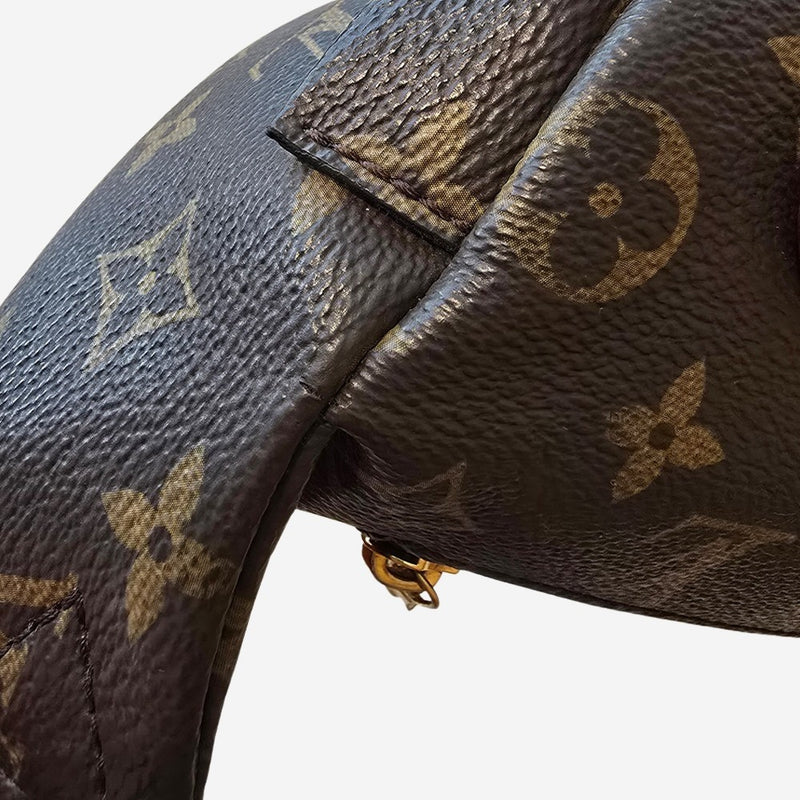 Monogram Canvas Bumbag