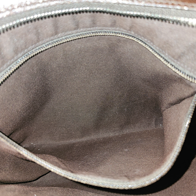 GG hobo crossbody
