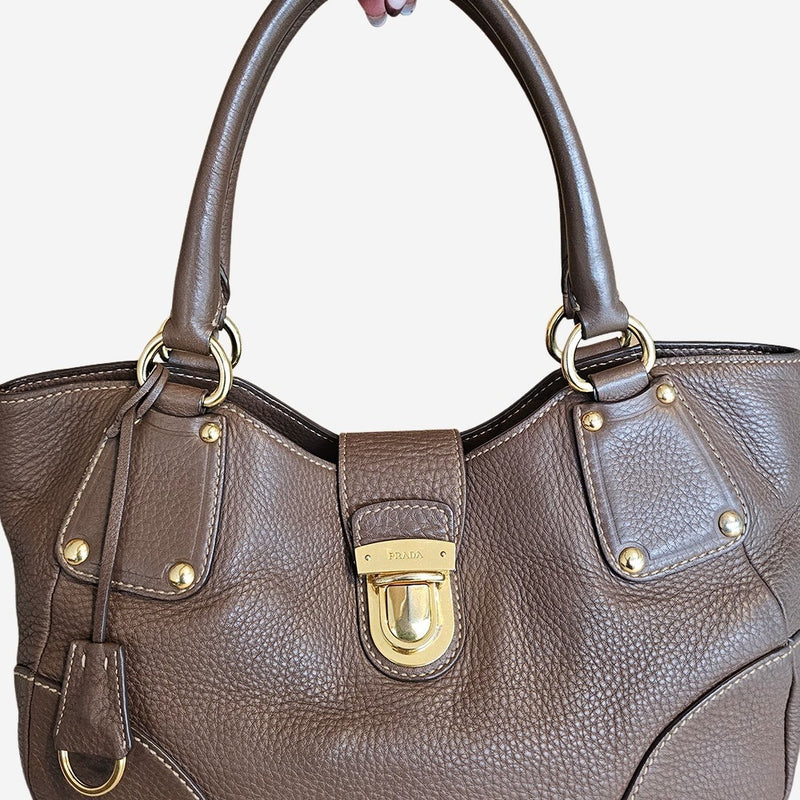 Vitello Daino Tote