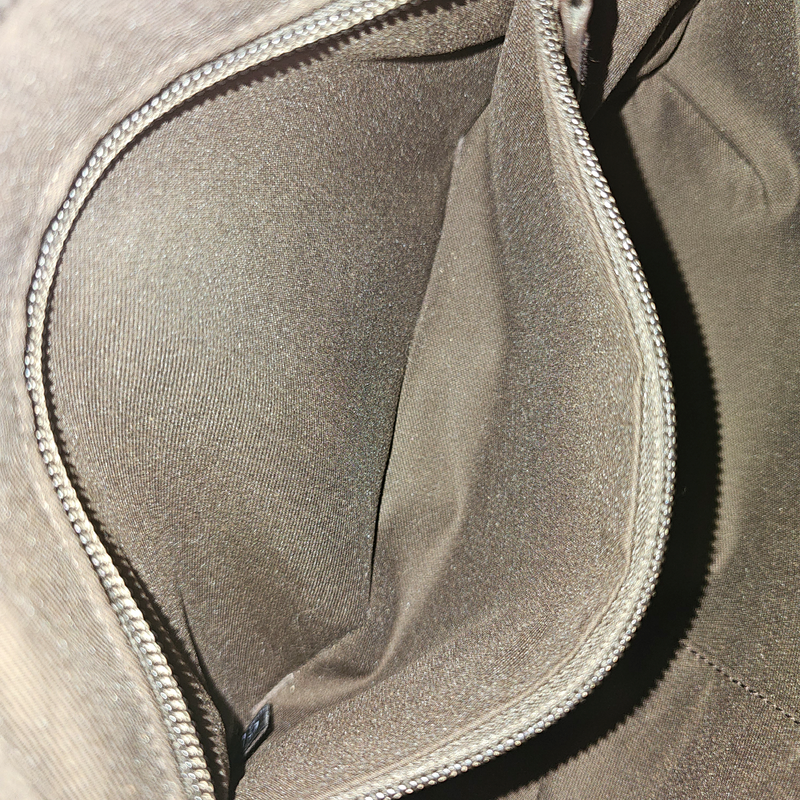 GG Hobo crossbody