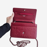 Bordeaux Camellia WOC