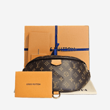 Monogram Canvas Bumbag