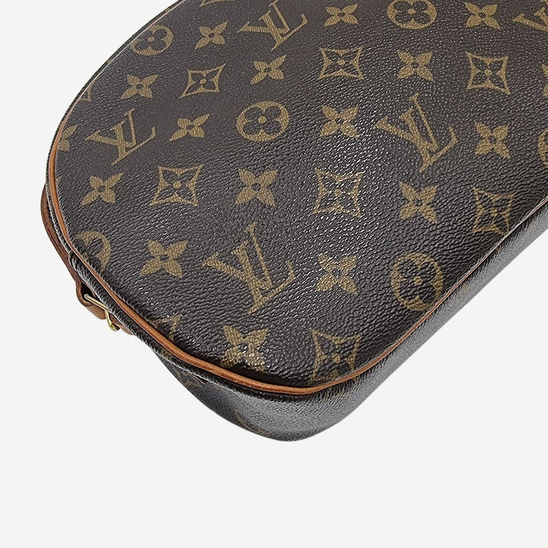 MONOGRAM CANVAS BLOIS taske fra brand: LOUIS VUITTON - We Do Vintage