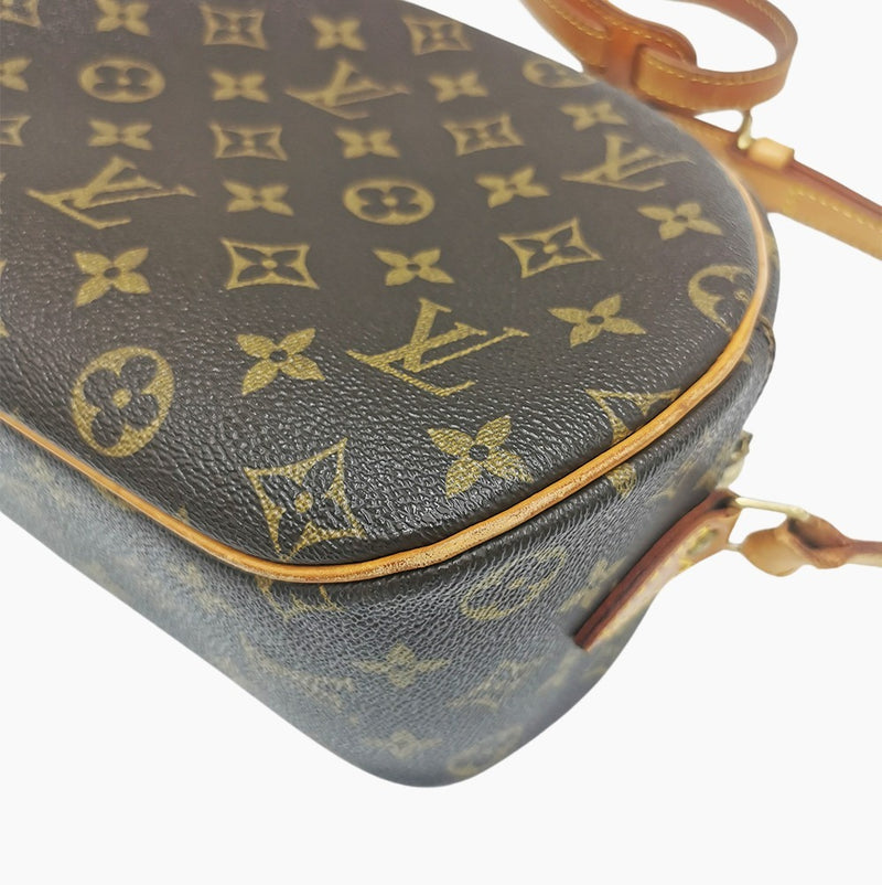 MONOGRAM CANVAS BLOIS taske fra brand: LOUIS VUITTON - We Do Vintage